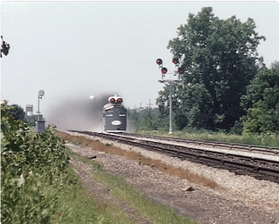 1691285852225987.jpg 1.jpg